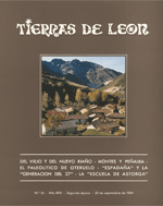 El yacimiento achelense de Oteruelo -León- (I)